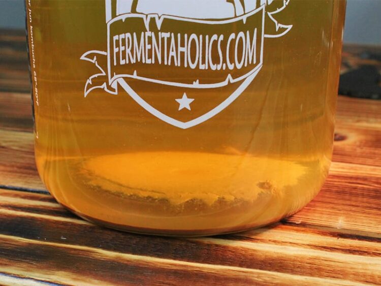 Brown Stuff at the Bottom of my Kombucha: Truth Uncovered
