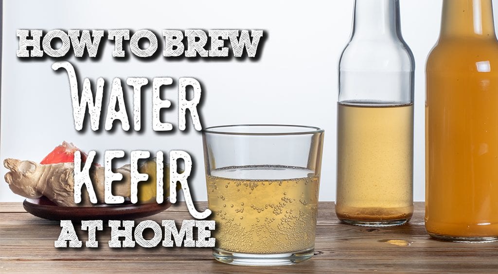 how to brew water kefir