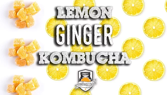 Lemon Ginger Kombucha