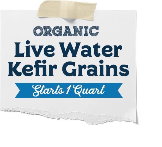 Live Water Kefir Grains