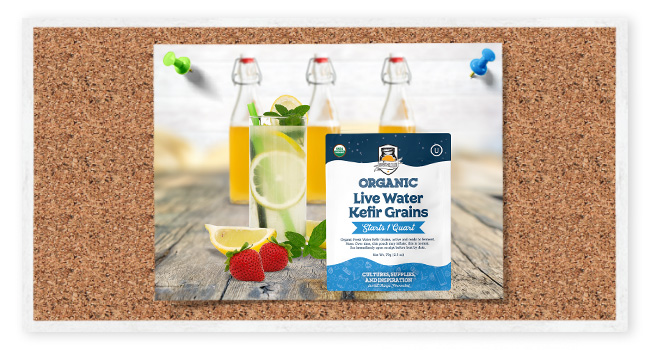 Kefir Grains Organic
