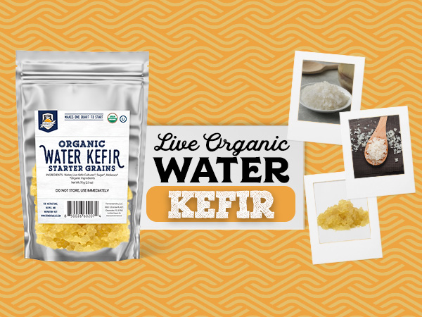 grains for water kefir making