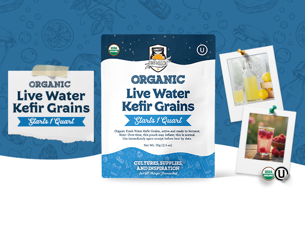 Water Kefir Grains