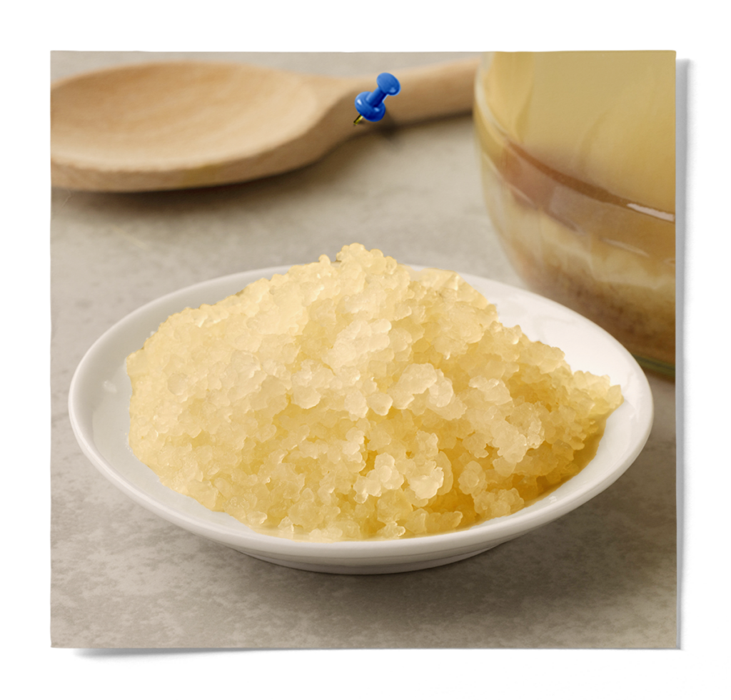 WaterKefir Grains