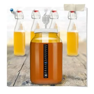 Gallon Glass Jar with Grommet and S-Airlock