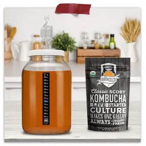 Gallon Jar with Grommet and S Airlock