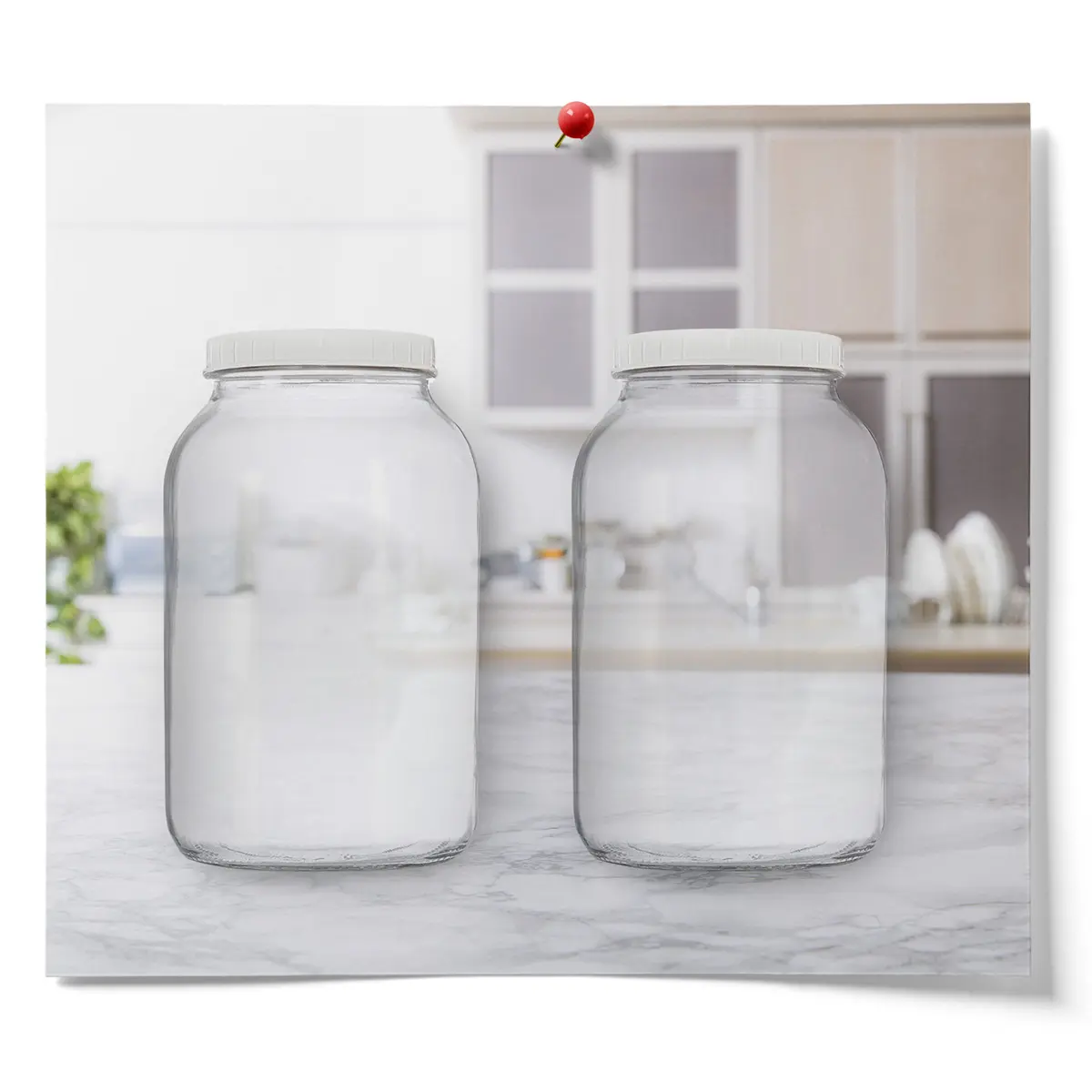2-Pack Printed 1 Gallon Kombucha Brewing Jars – Everything You Need To Brew (Except The SCOBY!)