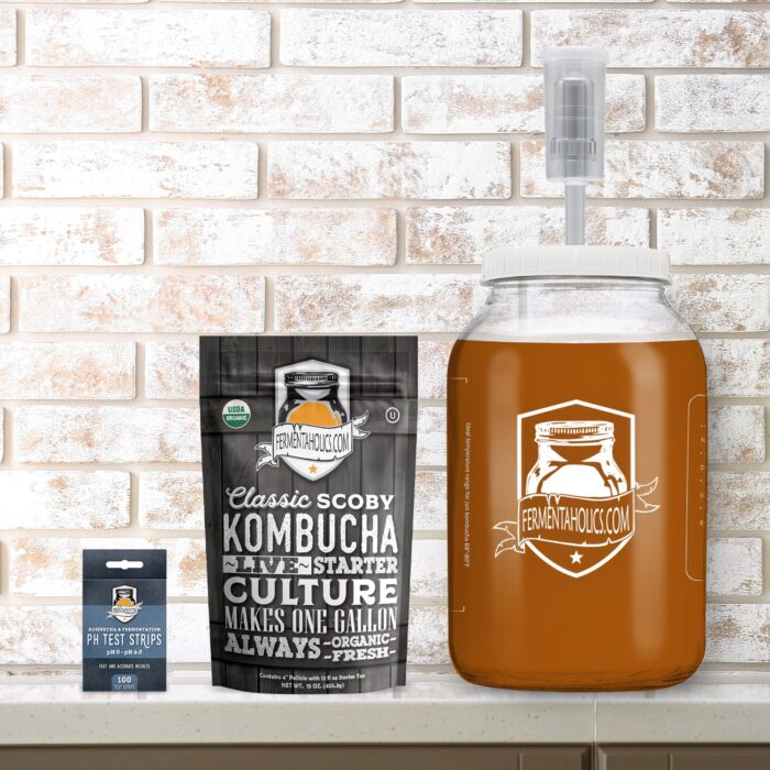 kombucha brew in gallon glass jar