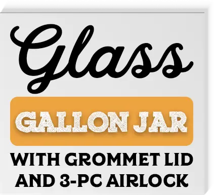 Glass Gallon Jar With Grommet Lid And 3 Piece Airlock