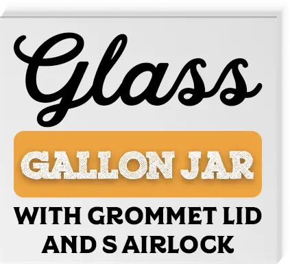 Glass Gallon Jar With Grommet Lid And S Airlock