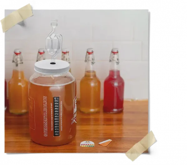 S-Airlock Airlock For Glass Gallon Jar