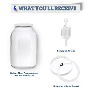 Glass Gallon Jar With Grommet Lid and S-shaped Airlock