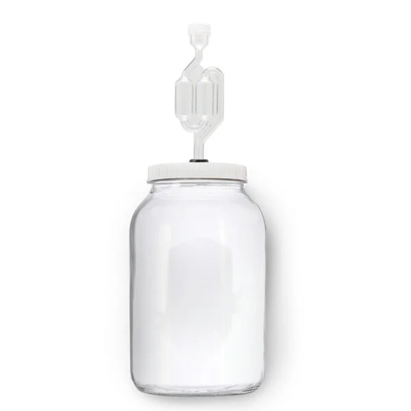 Gallon Glass Jar With S-Shaped Airlock