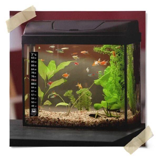 Adhesive Strip Thermometer
