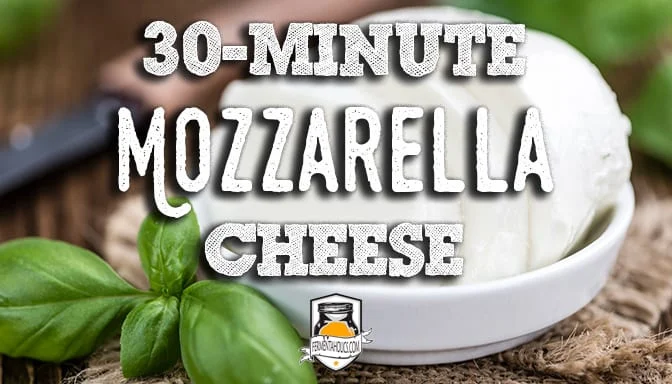 making mozzarella cheese in 30 minutes