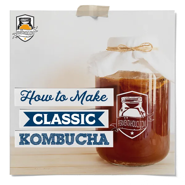 How To Make Classic Kombucha