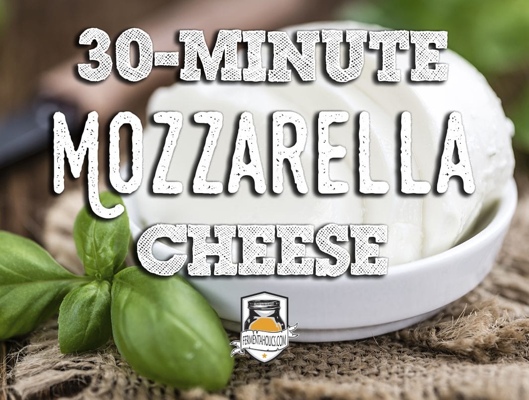 30 Minute Mozzarella Cheese Recipe