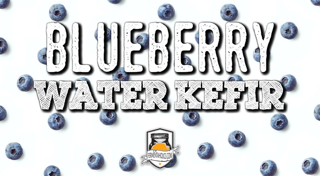 Blueberry Water Kefir