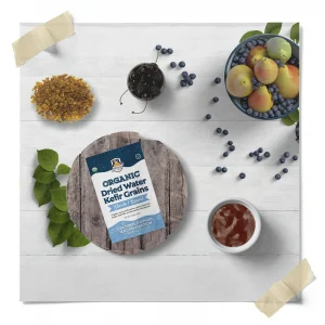 Water Kefir Grains