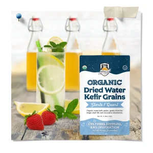 Grains For Kefir
