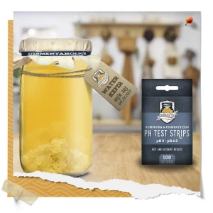 Kefir Grain