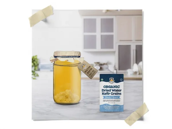 Dehydrated Water Kefir Grain