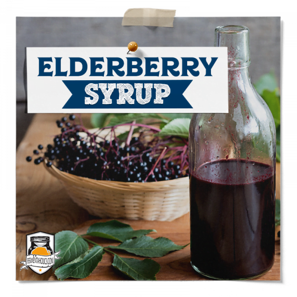 Elderberry Syrup Recipe