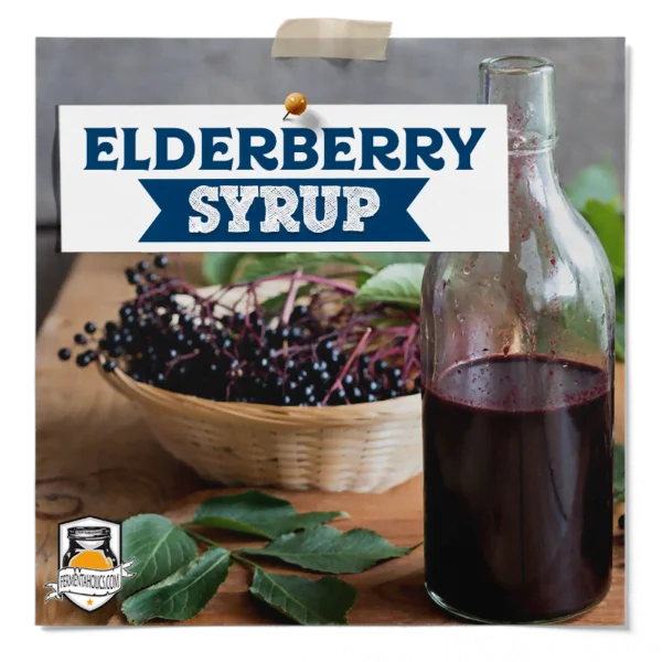 Elderberry Syrup Recipe