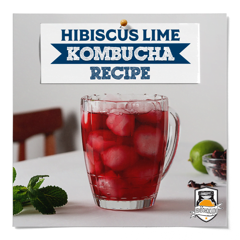 hibiscus lime kombucha recipe