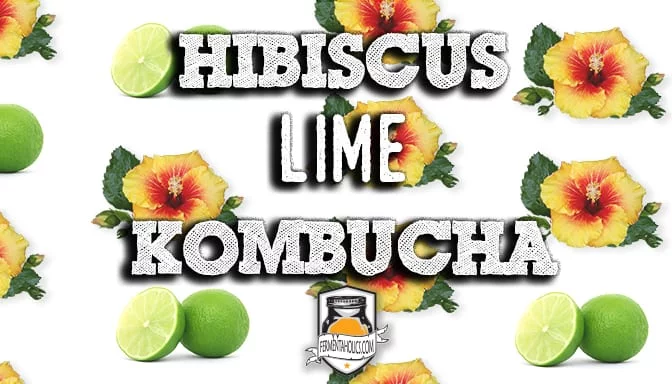 Hibiscus Lime Kombucha