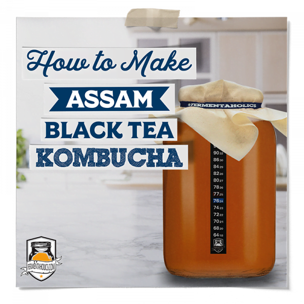 How To Make Assam Black Tea Kombucha