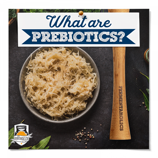 What Are Prebiotics