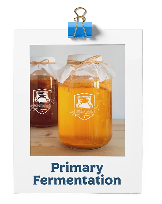 Primary Fermentation