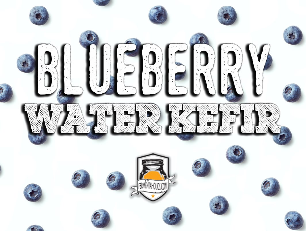 Blueberry Water Kefir Recipe