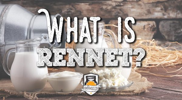 Rennet: Secure The Needs in Your Cheese-making Journey With This ...