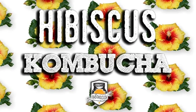 Hibiscus Kombucha