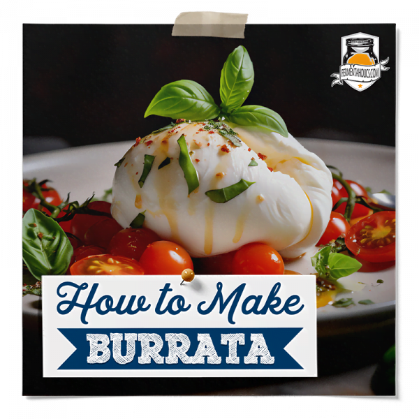 Burrata Recipes