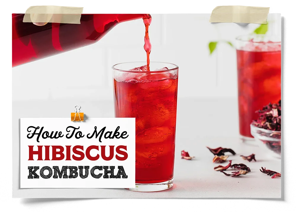 Hibiscus Kombucha Recipe