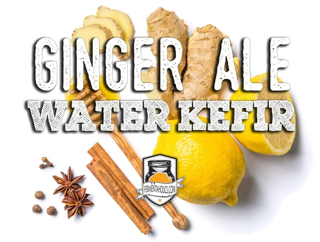 Ginger Ale Water Kefir Recipe