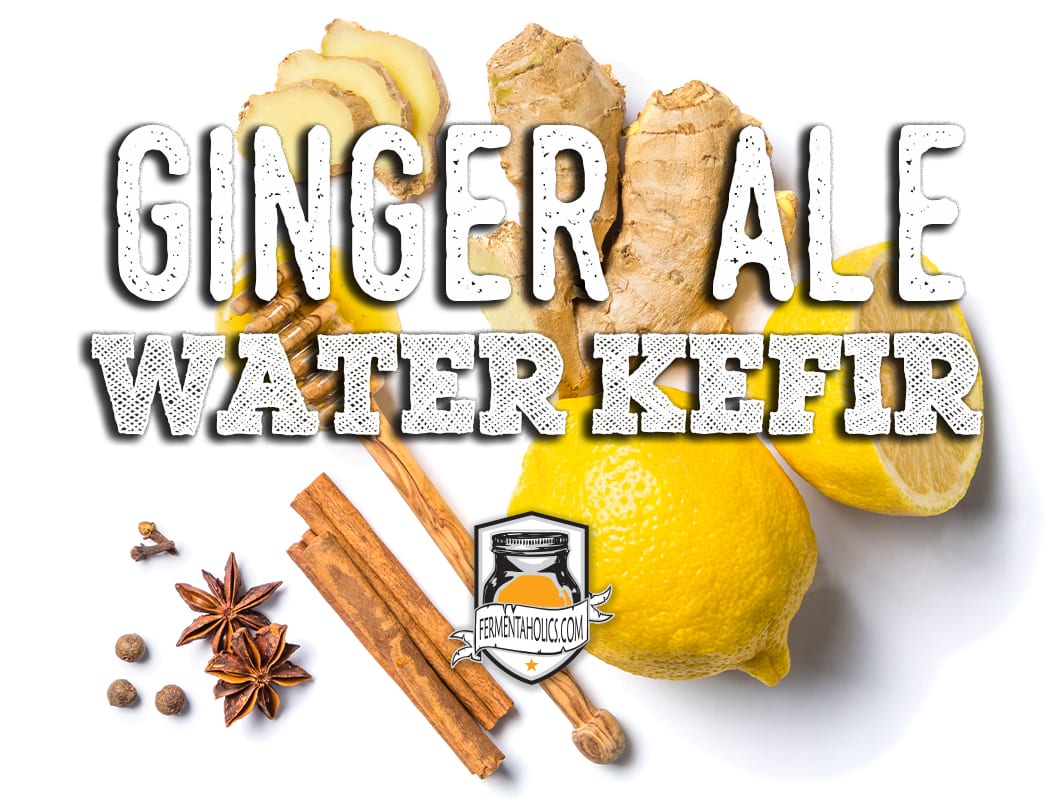 Ginger Ale Water Kefir Recipe