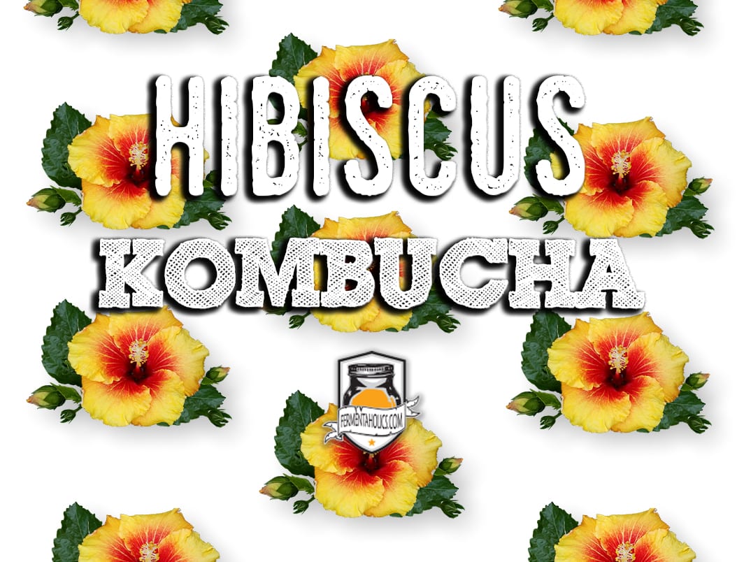 Hibiscus Kombucha Recipe