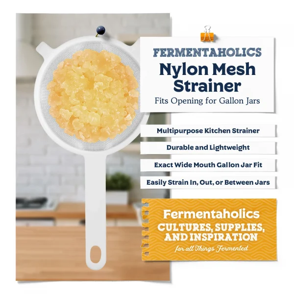 Plastic Mesh Strainer