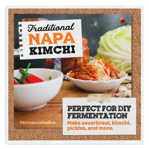Fermentation Lids