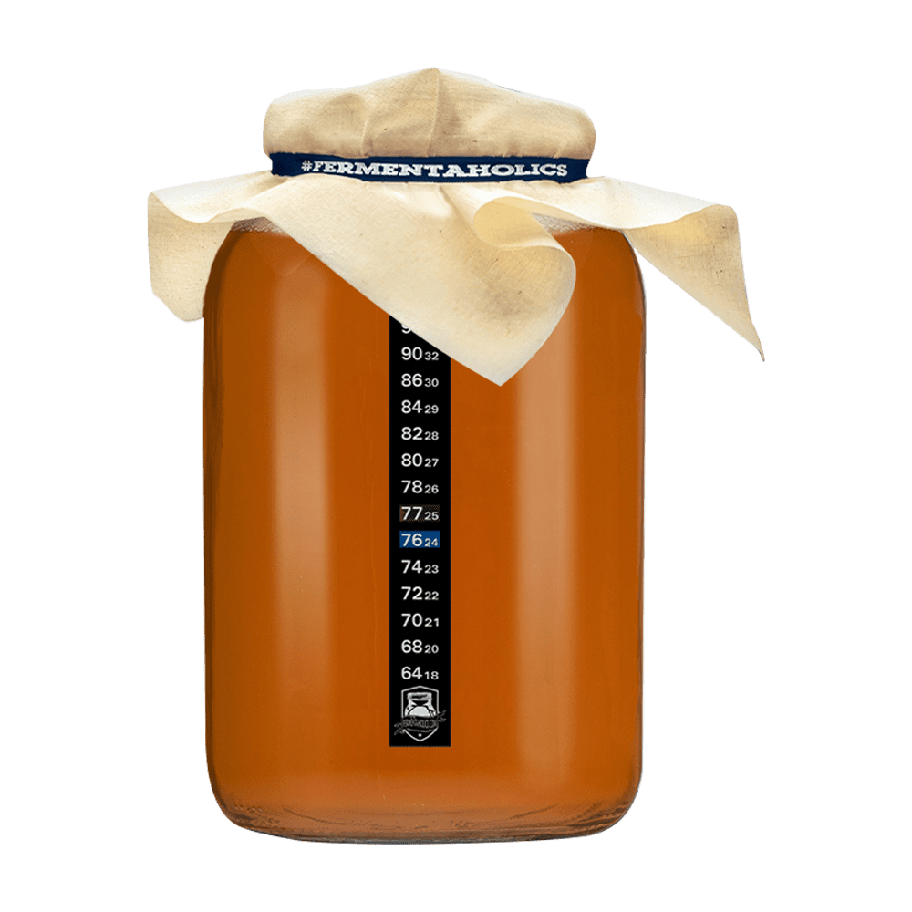 Brew the Perfect Kombucha at Home with Organic Supplies