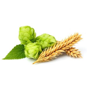 Beer Brewing Supplies And Ingredients