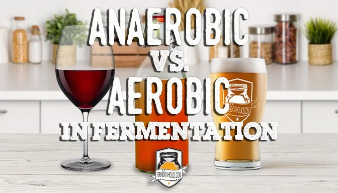 anaerobic vs aerobic in fermentation