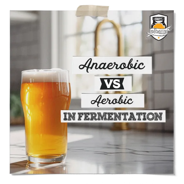 Anaerobic Vs Aerobic In Fermentation