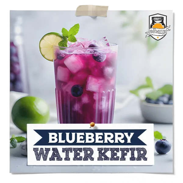 Blueberry Water Kefir Recipe