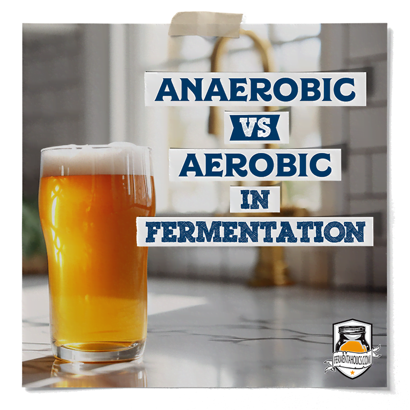 anaerobic vs aerobic fermentation difference