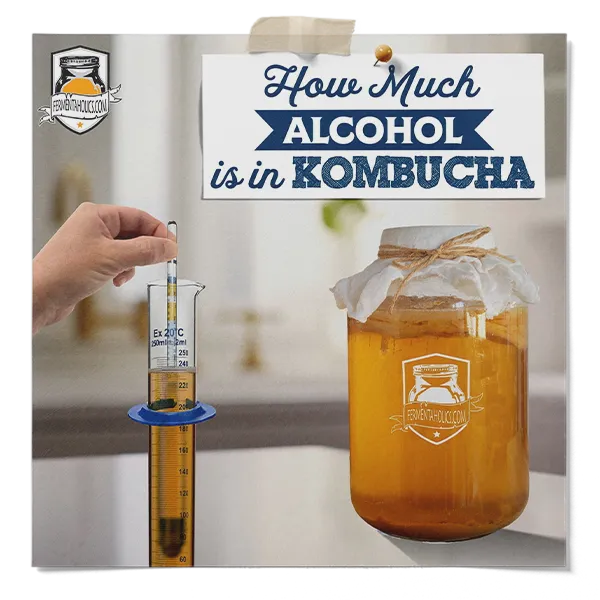 How Much Alcohol Is In Kombucha
